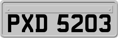 PXD5203