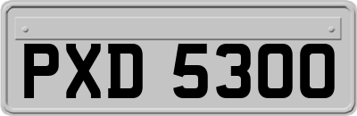 PXD5300