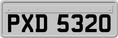 PXD5320