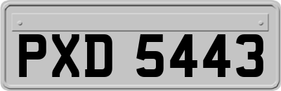 PXD5443