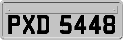 PXD5448