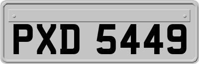 PXD5449