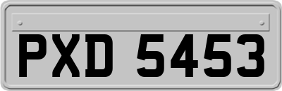 PXD5453