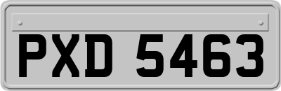 PXD5463