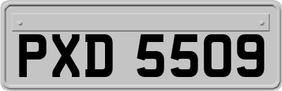 PXD5509