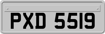 PXD5519