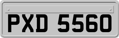 PXD5560