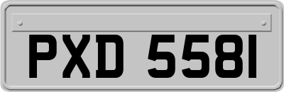 PXD5581