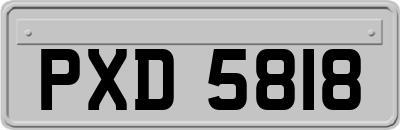 PXD5818