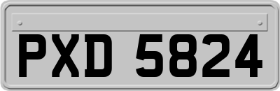 PXD5824