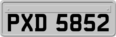 PXD5852