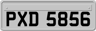 PXD5856