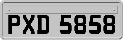 PXD5858