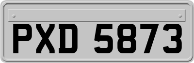 PXD5873