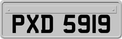 PXD5919