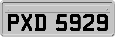 PXD5929