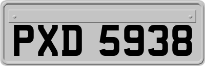 PXD5938