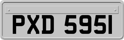 PXD5951