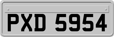 PXD5954