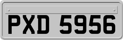 PXD5956