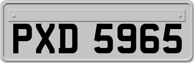 PXD5965