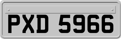 PXD5966