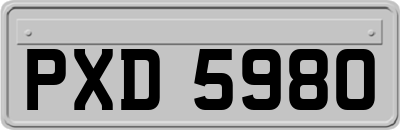 PXD5980