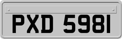 PXD5981