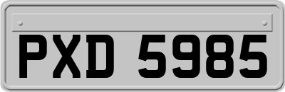 PXD5985