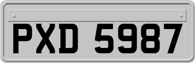 PXD5987