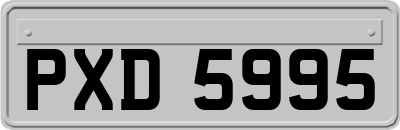 PXD5995