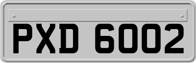 PXD6002