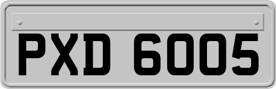 PXD6005