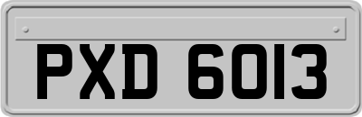 PXD6013