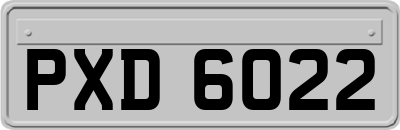 PXD6022