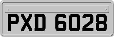 PXD6028