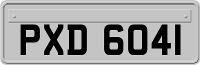 PXD6041