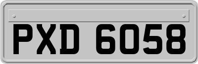 PXD6058