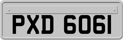 PXD6061