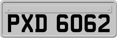 PXD6062