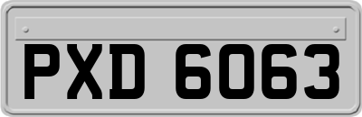 PXD6063