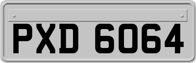 PXD6064