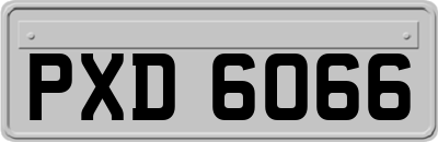 PXD6066