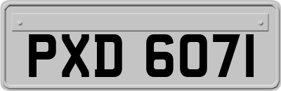 PXD6071