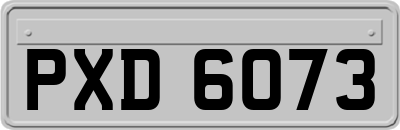 PXD6073