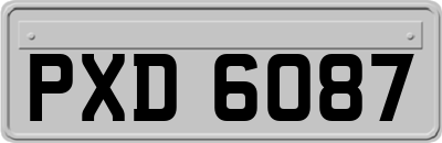 PXD6087