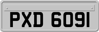 PXD6091