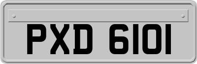 PXD6101