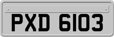 PXD6103