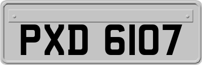 PXD6107